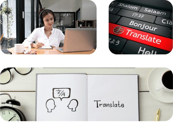 Certified Translation for Driver's License