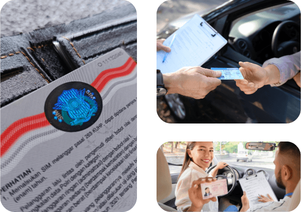 Driver's License Translation